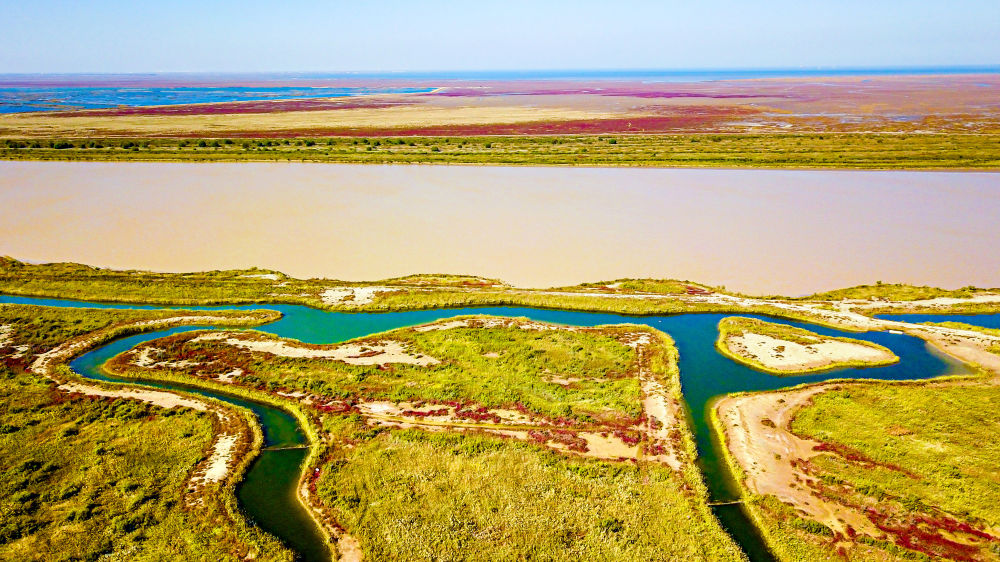 W020230828414871493354 W020230828414871493354